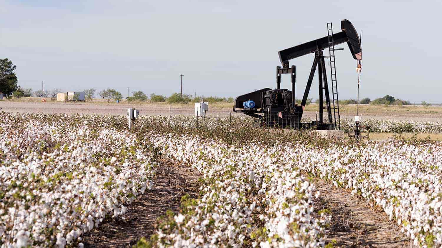 buy the cheapest land in texas