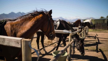 owning a ranch profitable