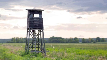 set up land for deer hunting