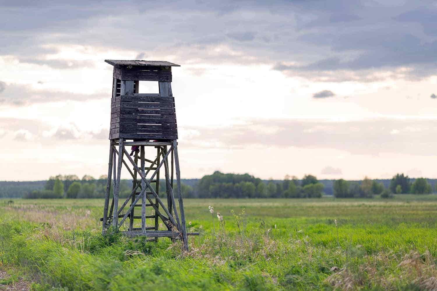 set up land for deer hunting