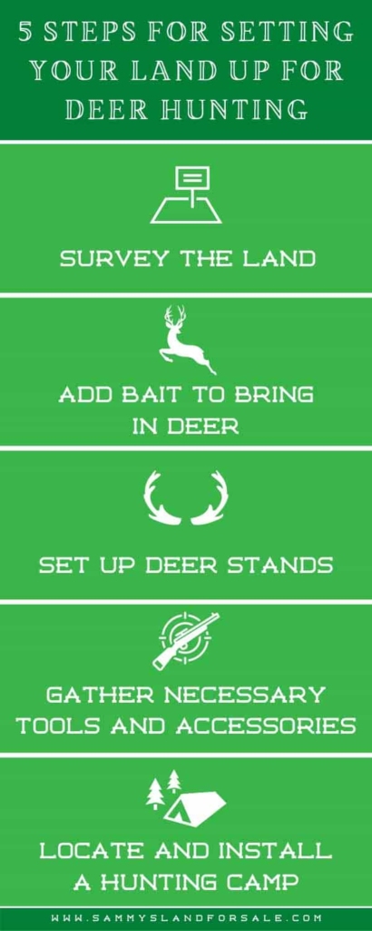 set up land for deer hunting - info