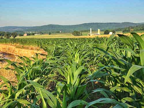 Farm Land for Sale in Maryland