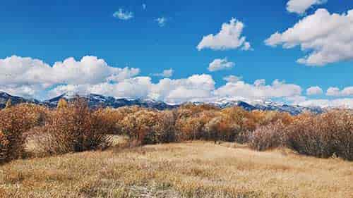 Farm Land for Sale in Wyoming