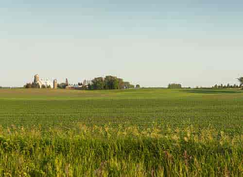 Farmland for Sale in Minnesota